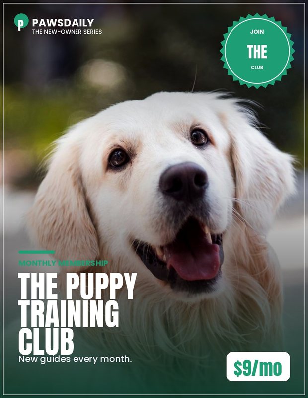 The Puppy Training Club cover