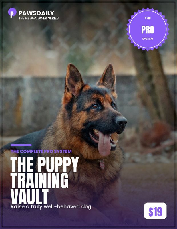 The Puppy Training Vault cover